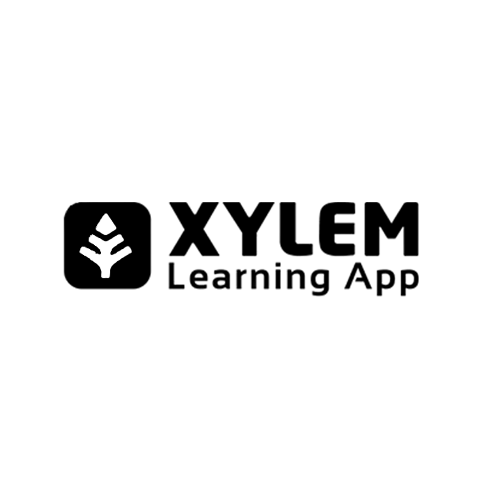 XYLEM